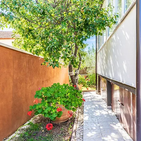 Appartamento 1 With Pool